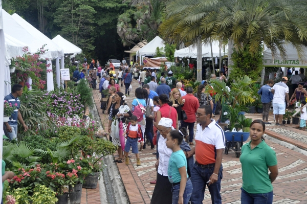 Jardín Botánico celebrará su XIV Festival de Plantas y Flores