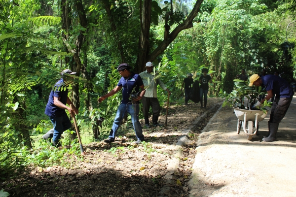 JBN realiza jornadas de siembra y reforestación en La Gran Cañada