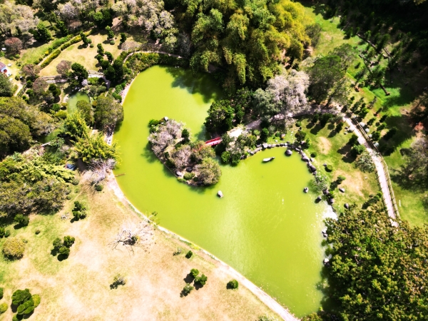 Entrada gratuita y caminata ecol&oacute;gica en el Jard&iacute;n Bot&aacute;nico Nacional por el D&iacute;a Mundial del Medio Ambiente