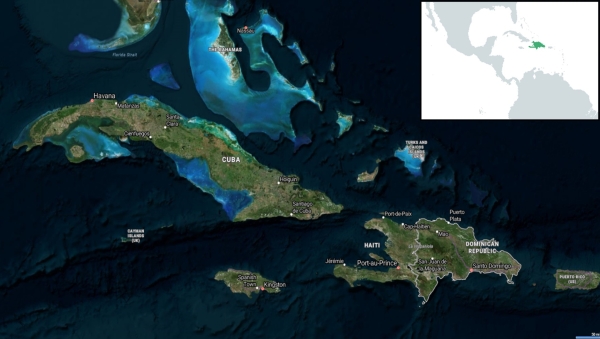 La Isla Española: un cofre del tesoro de diversidad arbórea en el Caribe