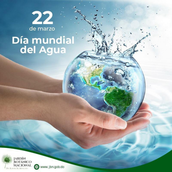 Día Forestal Mundial y Día Mundial del Agua: Dos fechas cruciales para República Dominicana