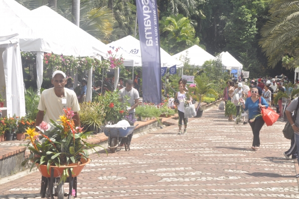 Jardín Botánico realizará su XV Festival Nacional de Plantas y Flores 2019