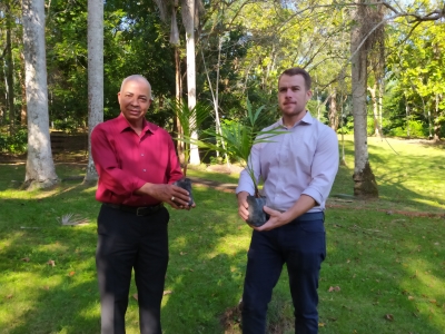 Fundación Grupo Puntacana enriquece población de palma de lluvia del Jardín Botánico Naciona