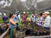 El JBN participará en proyecto de restauración ecológica en Bahoruco Oriental